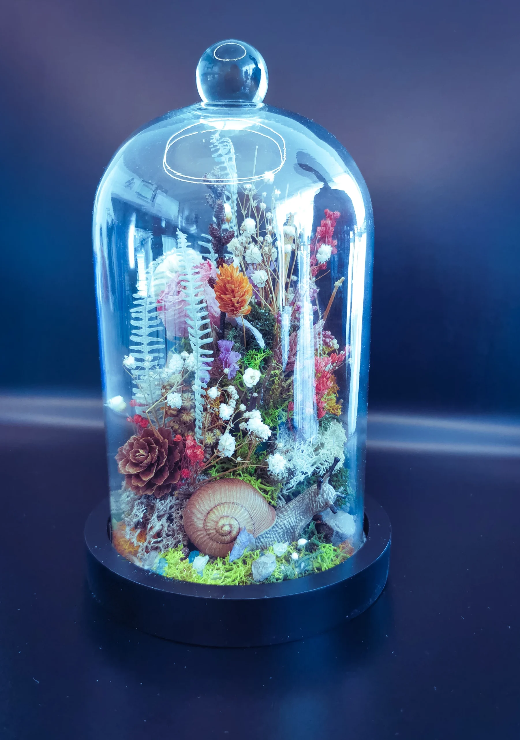 Atelier Création Univers Miniature, petit univers unique sous cloche, création de Anne